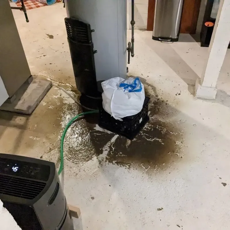 Sewage Backup Cleanup Service in Hugo, CO